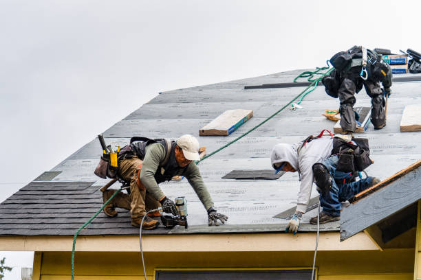 Professional Gutter Installation technician working in Morriston, FL